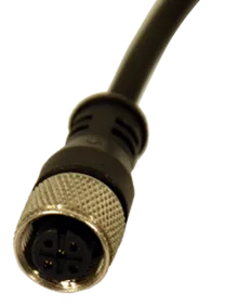 CJS1