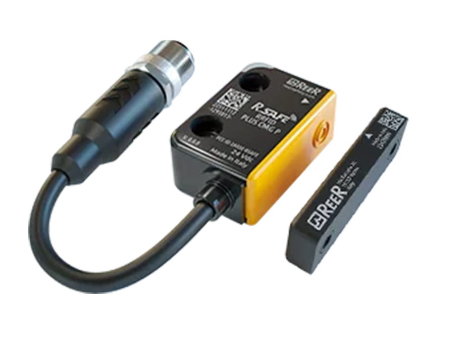 R-SAFE RFID BASIC C M G P