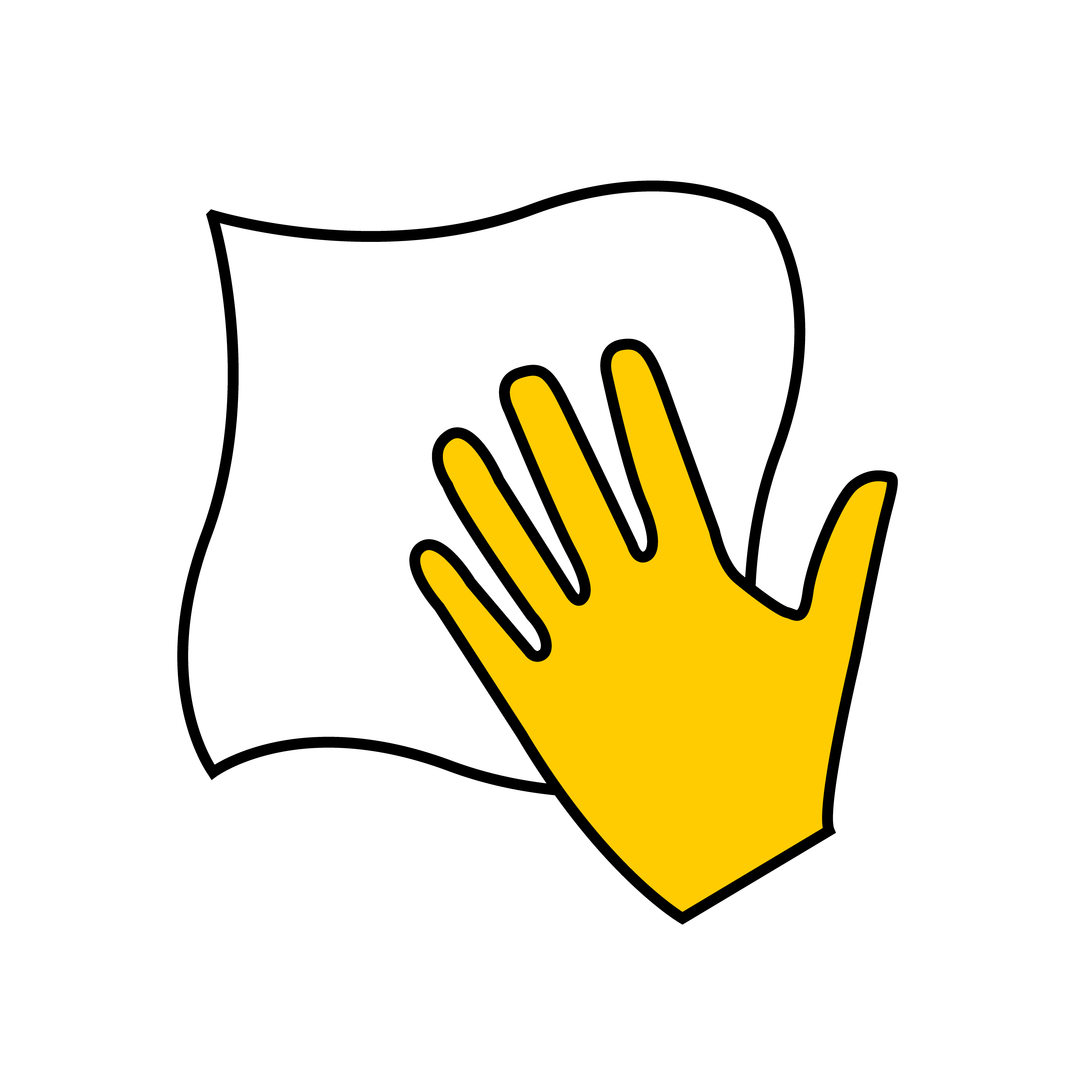 Cleaning Cloth